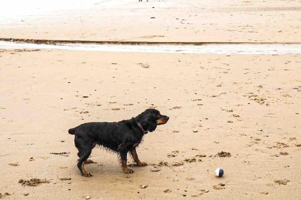 Large Cottage, Beach, Pubs Shops, Netflix, Bbq, Dog Friendly Hunmanby Esterno foto