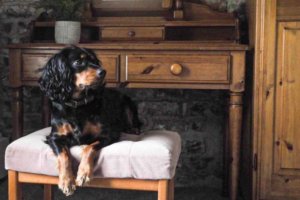 Large Cottage, Beach, Pubs Shops, Netflix, Bbq, Dog Friendly Hunmanby Esterno foto