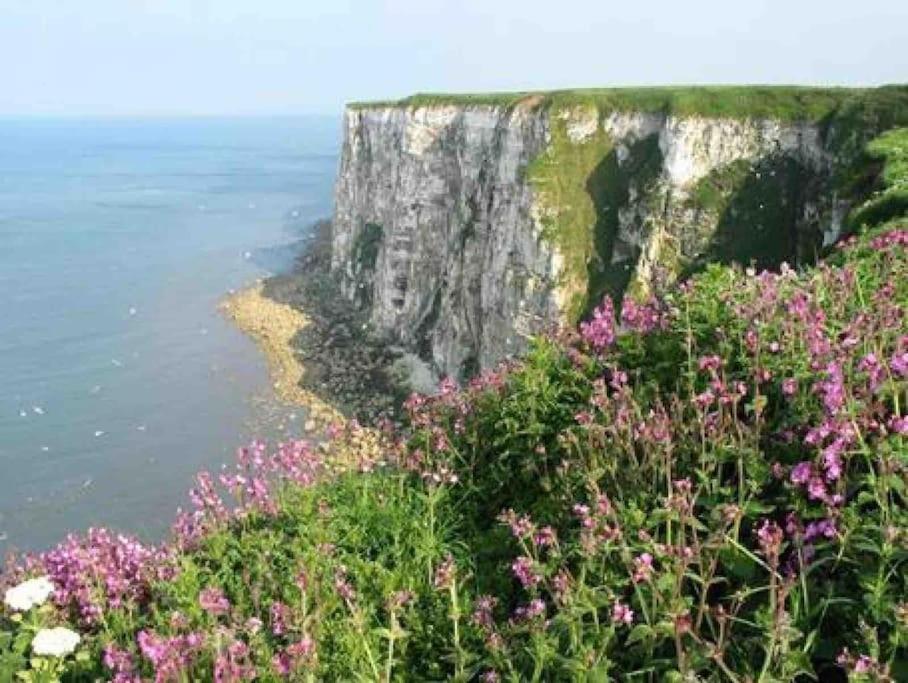 Large Cottage, Beach, Pubs Shops, Netflix, Bbq, Dog Friendly Hunmanby Esterno foto